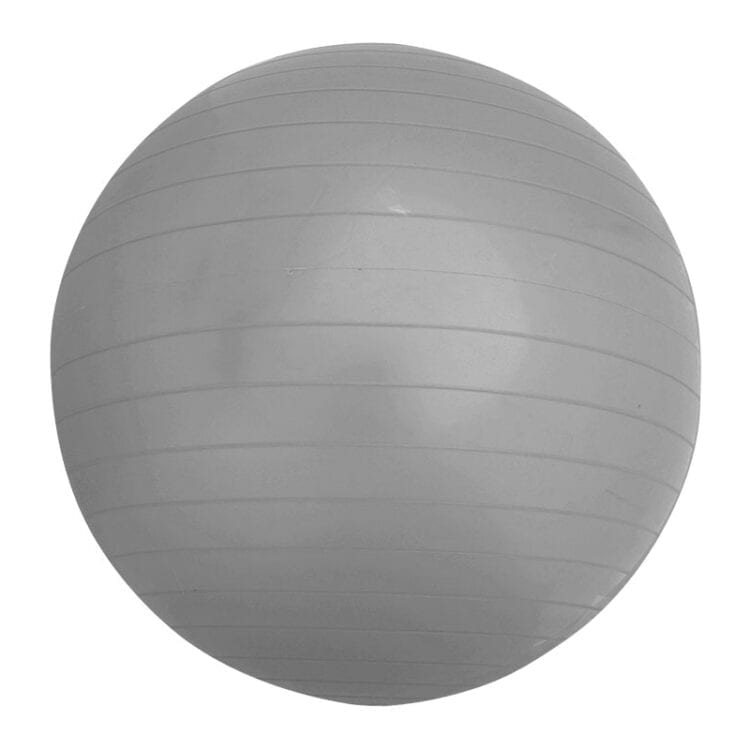 Μπάλα Γυμναστικής 85cm Welfit W2601-85