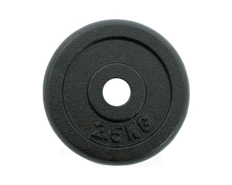 Δίσκος Σίδερο 2.5kg Perk Sports EF4702